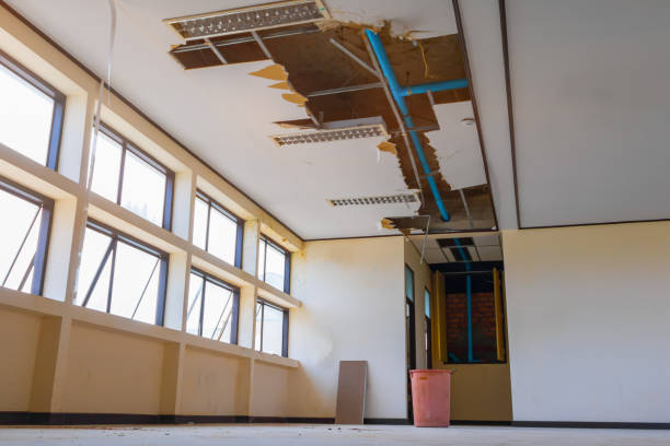 Best Water damage mitigation services  in Grafton, OH