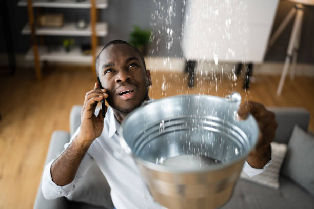 Best Ceiling water damage repair  in Grafton, OH