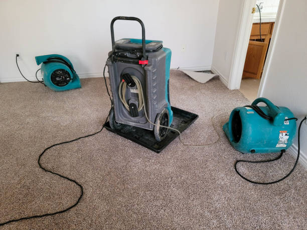 Best Mold removal after water damage  in Grafton, OH