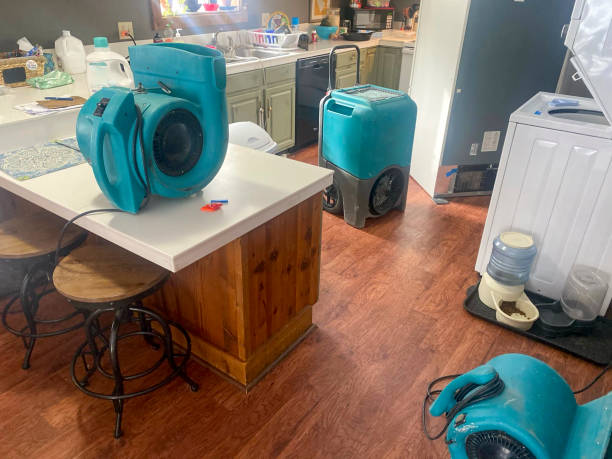 Best Commercial water damage restoration  in Grafton, OH