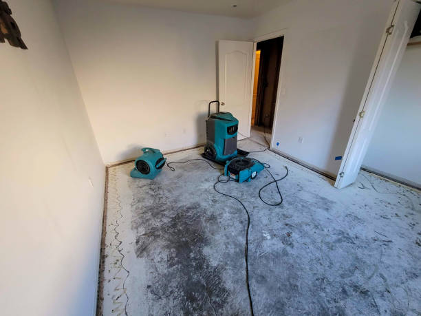 Best Residential water damage restoration  in Grafton, OH