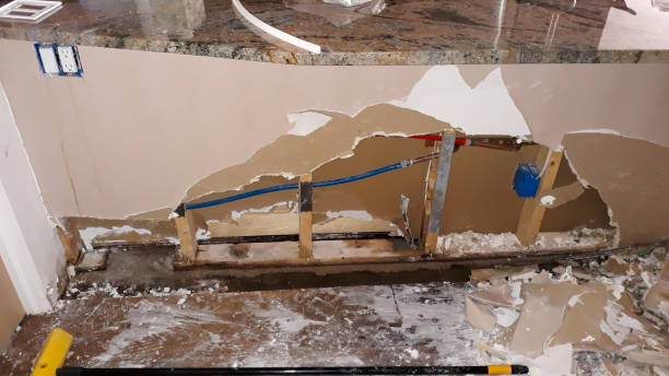 Best Water damage cleanup near me  in Grafton, OH