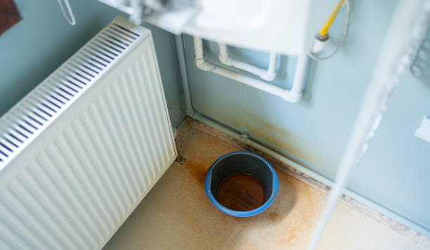 Best Local water damage restoration  in Grafton, OH
