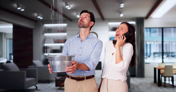 Best Water damage restoration near me  in Grafton, OH