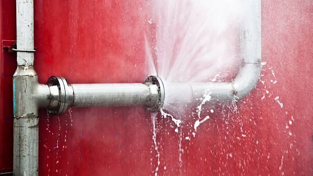 Best Flood restoration services  in Grafton, OH